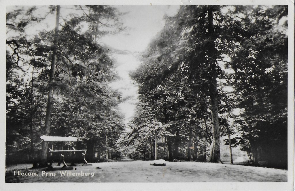 Pa1282 oude gelopen ansichtkaart ellecom prins willemberg, Ophalen of Verzenden, 1960 tot 1980, Gelopen