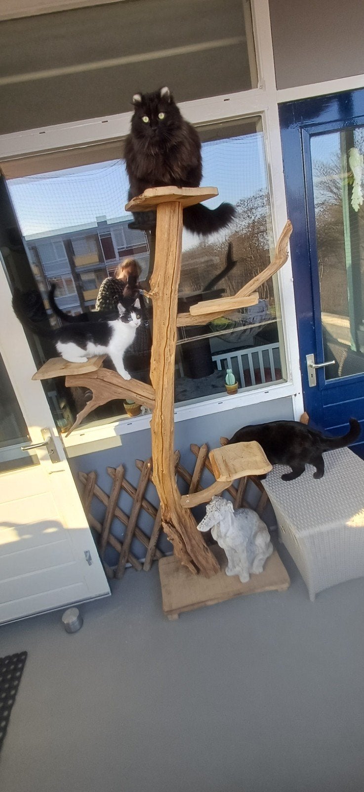 Te Koop, Boomstam voor katten., Ophalen, Gebruikt, Krabpaal