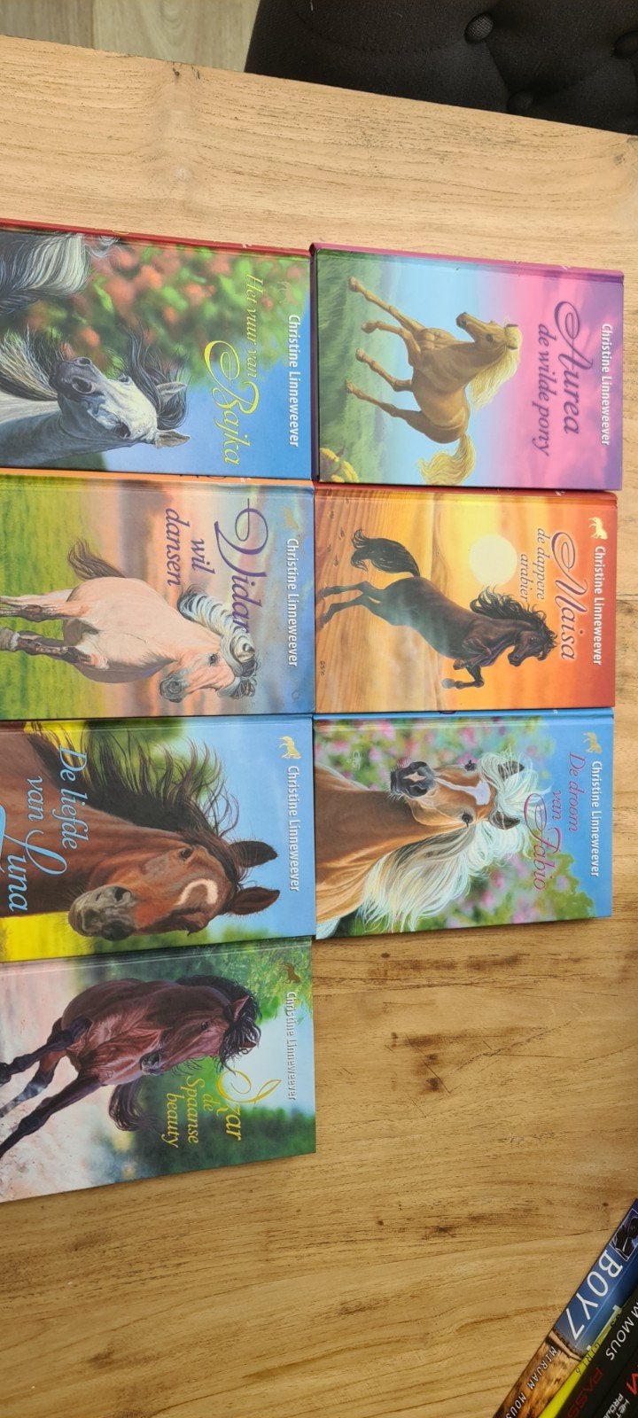 Gouden Paarden Serie - Christine Linneweever (7 boeken), Ophalen of Verzenden, Fictie algemeen