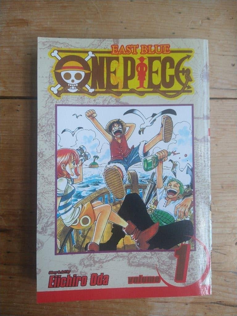 Manga one piece vol 1 (Engels), Eén stripboek, Ophalen of Verzenden, Zo goed als nieuw, Eiichiro Oda