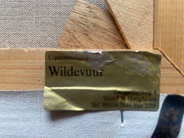 Acryl/doek, Maya Wildevuur (1944-2023), Landschap, Acrylverf, Overige stijlen, Doek, Ophalen of Verzenden