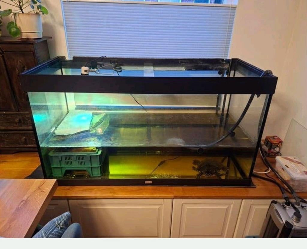 Aquarium 120 x 50 x 60 / schildpaddenbak, Ophalen of Verzenden, Leeg aquarium