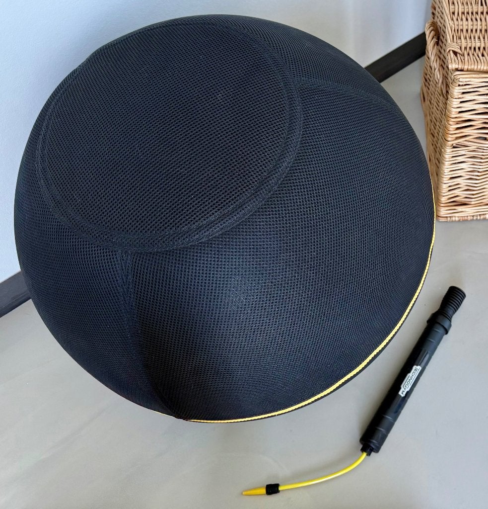 Technogym Wellness Ball | Ergonomische zitbal, Sport en Fitness, Fitnessmaterialen, Ophalen, Gebruikt, Buik, Fitnessbal