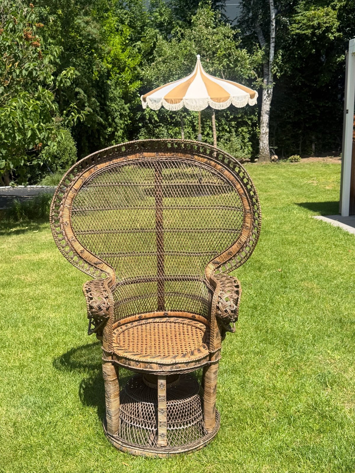 Vintage rotan pauwstoel - Bohemian chic, Ophalen