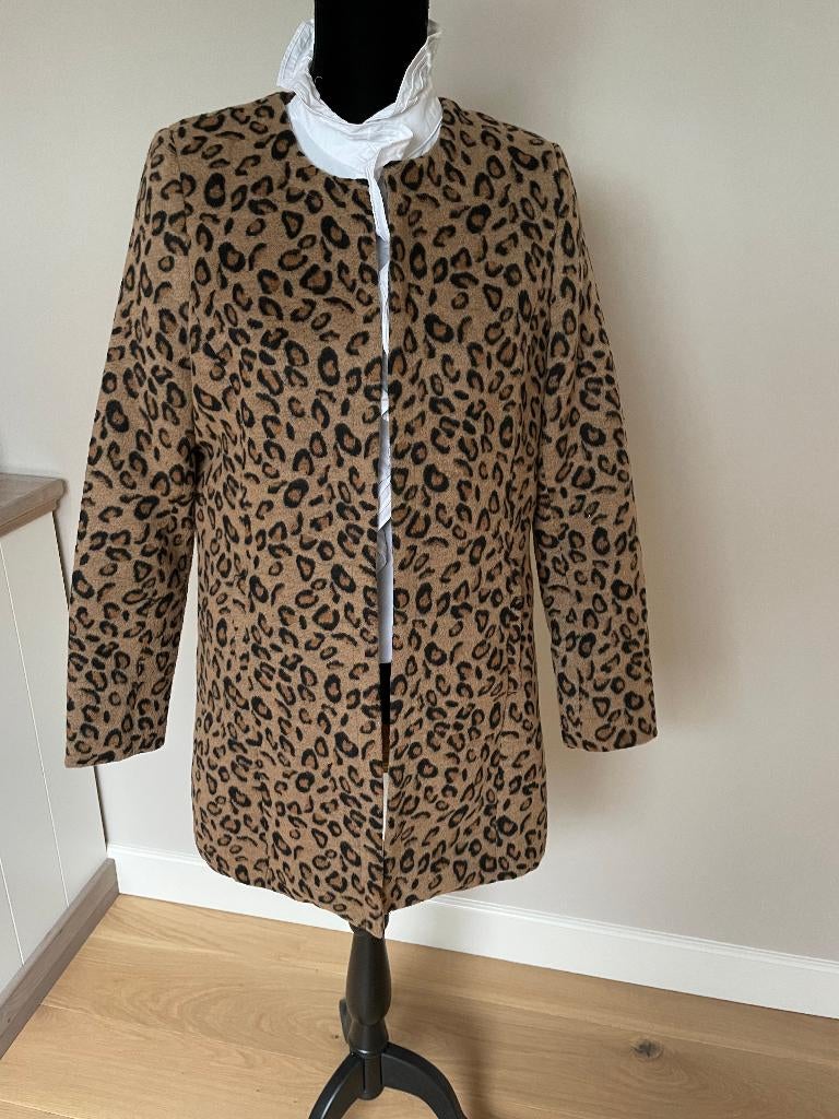 Nieuw jas Norah maat 40, Kleding | Dames, Jassen | Winter, Overige kleuren, Nieuw, Norah, Ophalen