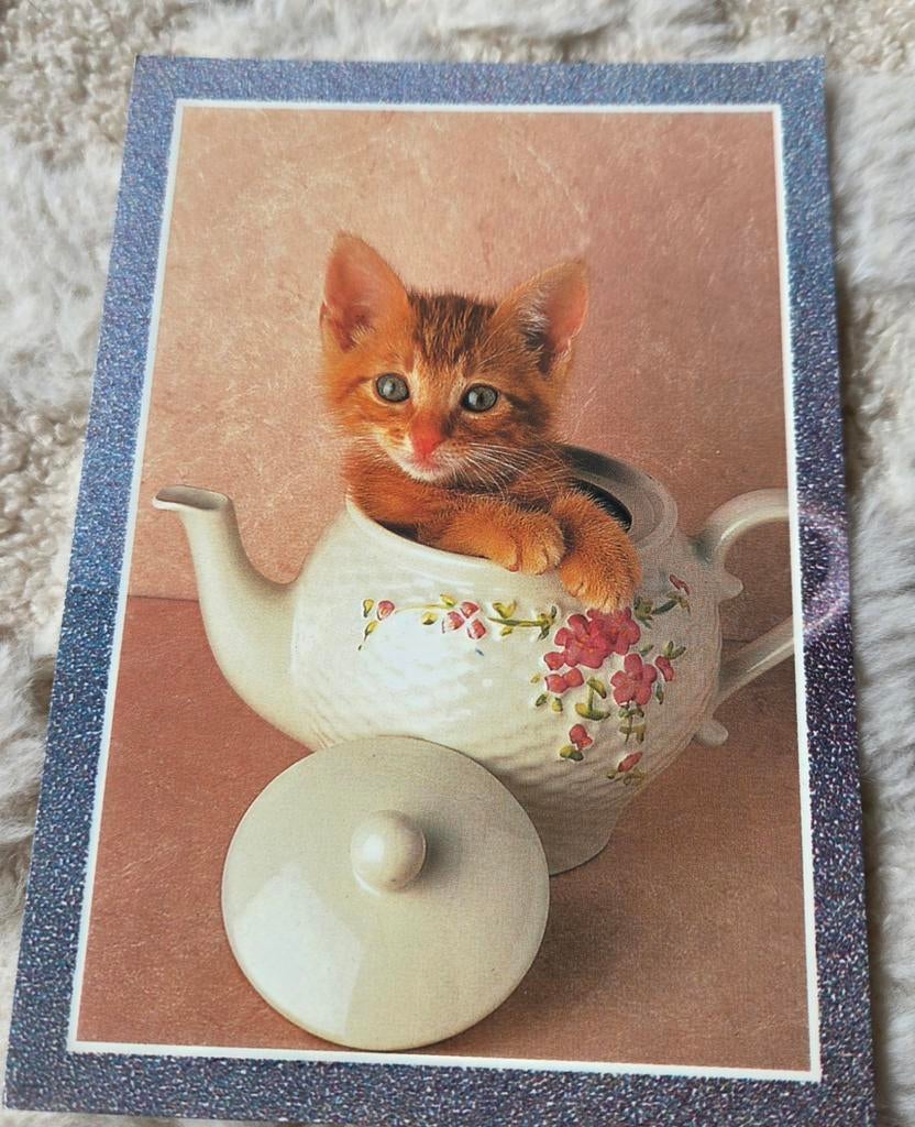 Rode kitten in een theepot, Verzenden, Gelopen, Hond of Kat