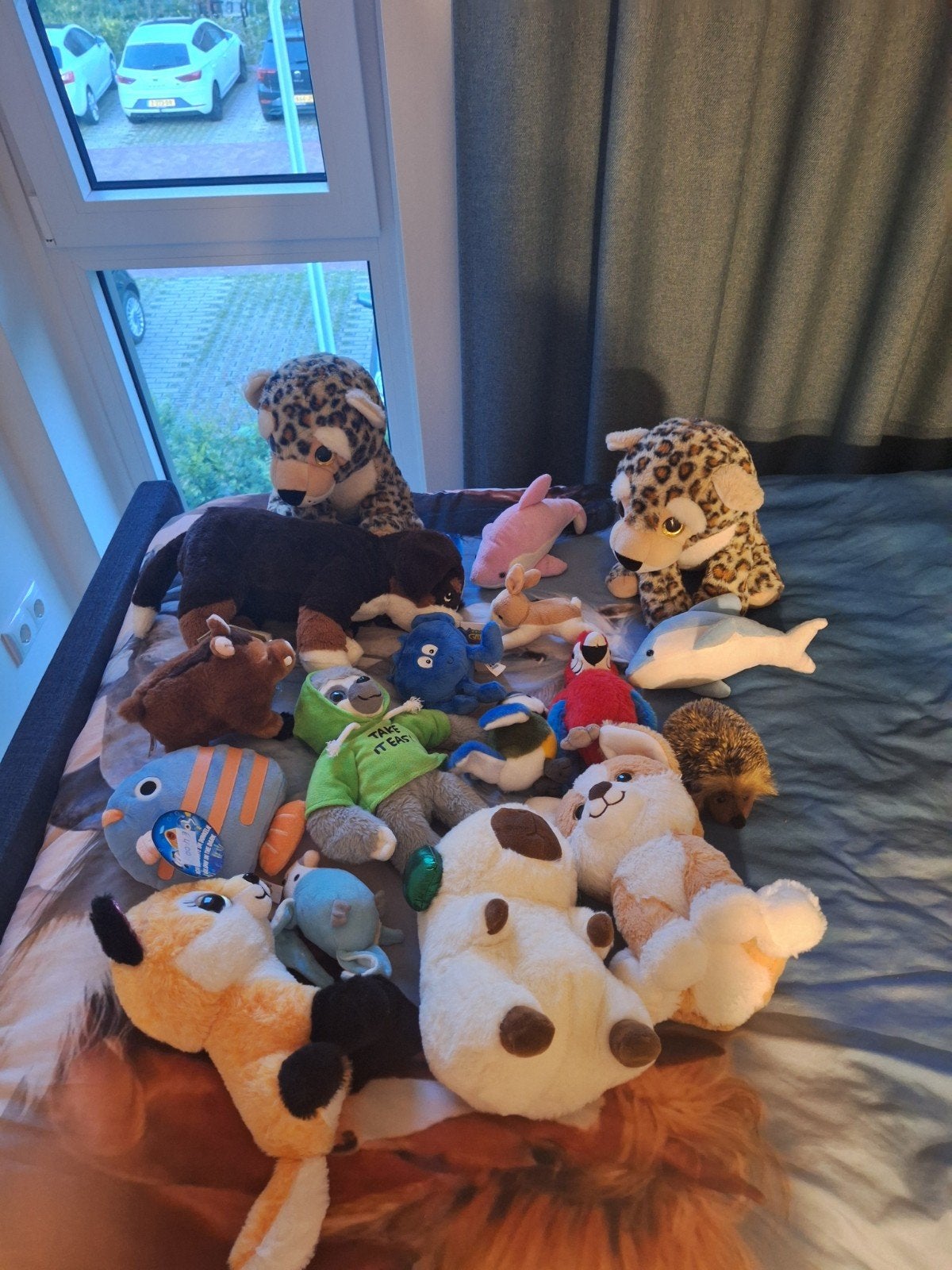Verschillende knuffels, Ophalen, Zo goed als nieuw, Overige typen