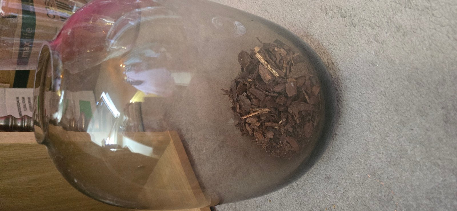 Grote glazen vazen/terrarium - diverse vormen, Ophalen of Verzenden, Gebruikt, Transparant, Glas