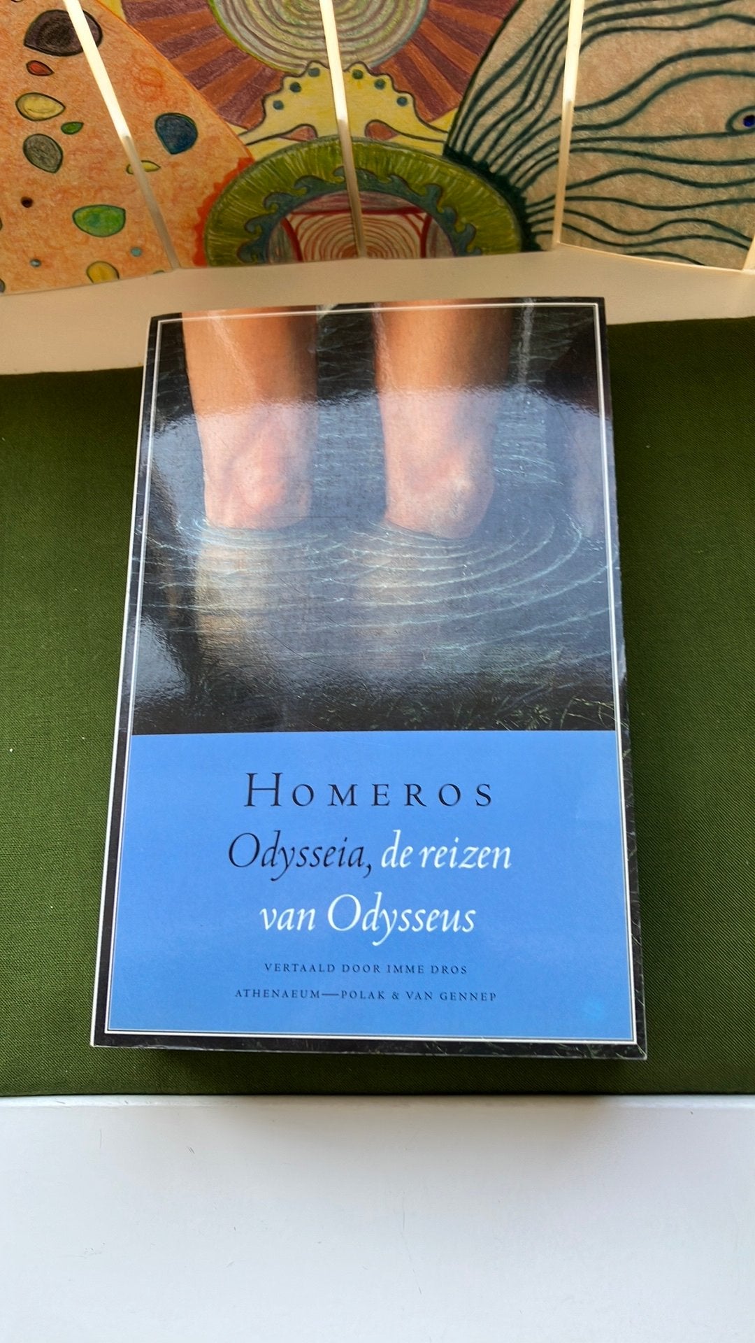 Homeros - Odysseia. De reizen van Odysseus. Imme Dros., Ophalen of Verzenden, Zo goed als nieuw, Homeros