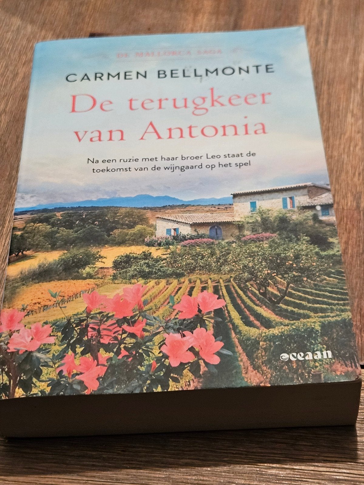 De terugkeer van Antonia - Carmen Bellmonte, Ophalen of Verzenden, Zo goed als nieuw, Carmen Bellmonte, Nederland