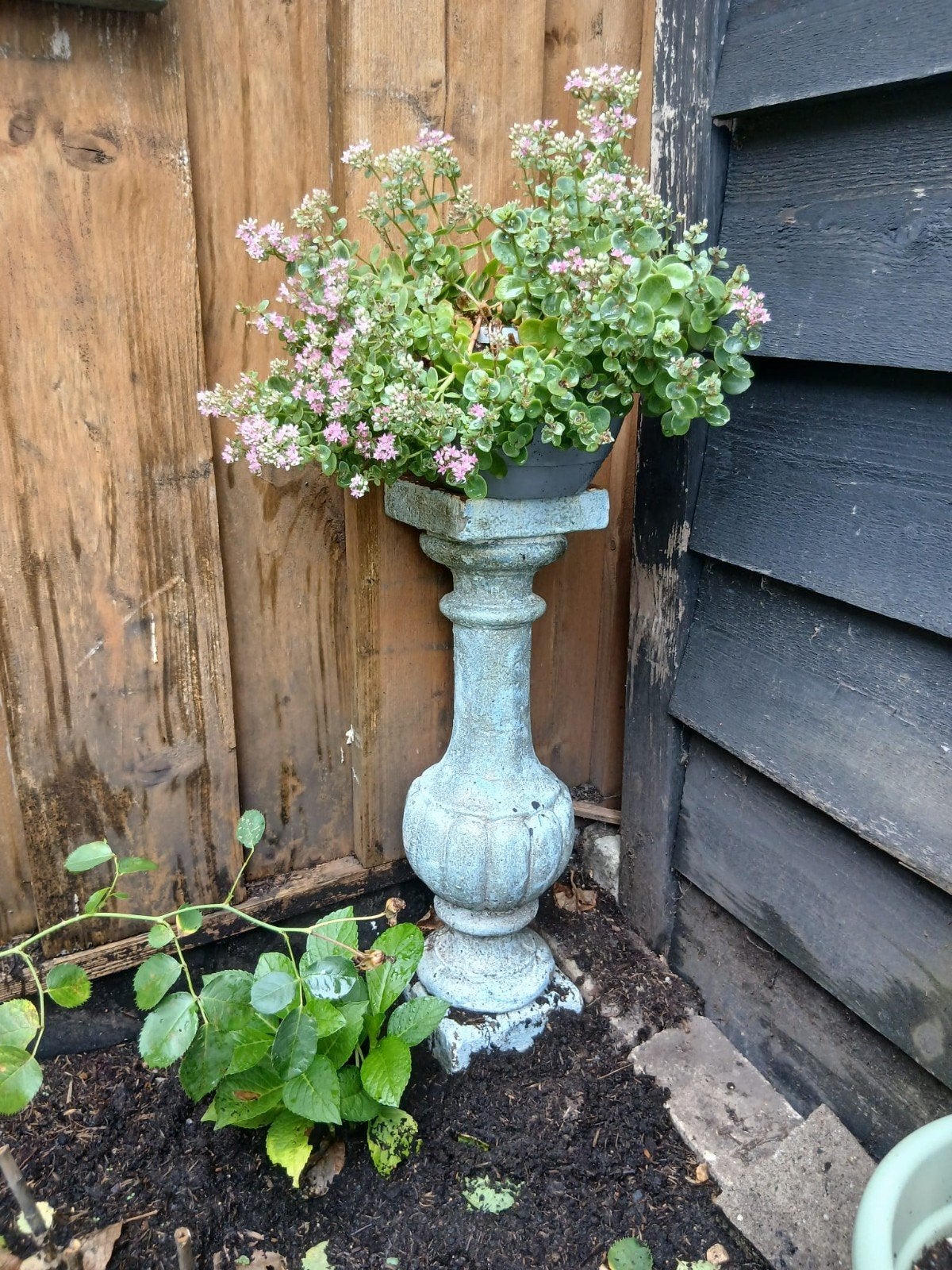 Decoratieve betonnen pilaar voor tuin of interieur, Ophalen, Gebruikt, Beton, Overige typen