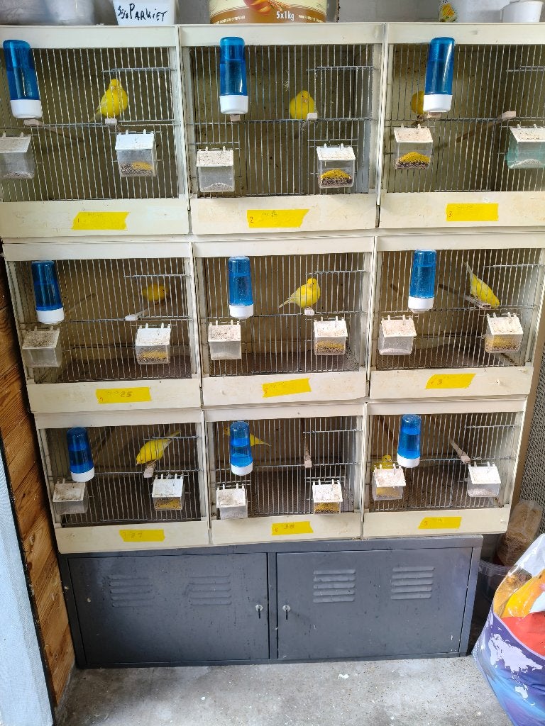 3 kweek kooien kunststof, Ophalen, Zo goed als nieuw, Kunststof, Broedkooi of Kweekkooi