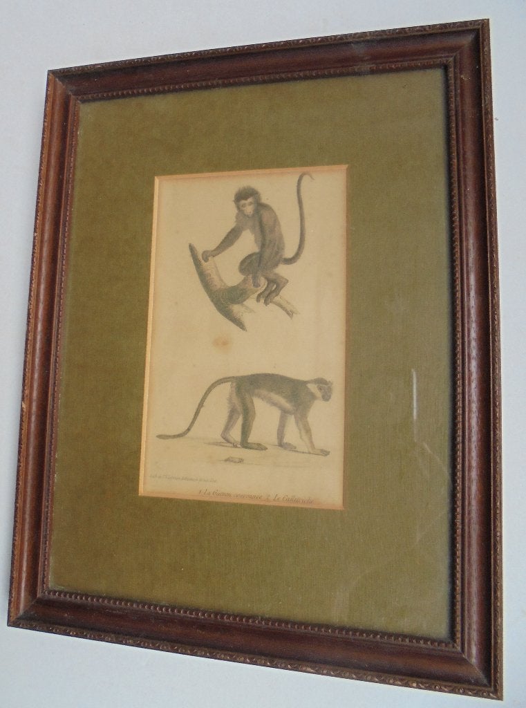 1837 Litho Gekroonde aap, Burggraaff Bruxelles (Bke-10), Antiek en Kunst, Ophalen