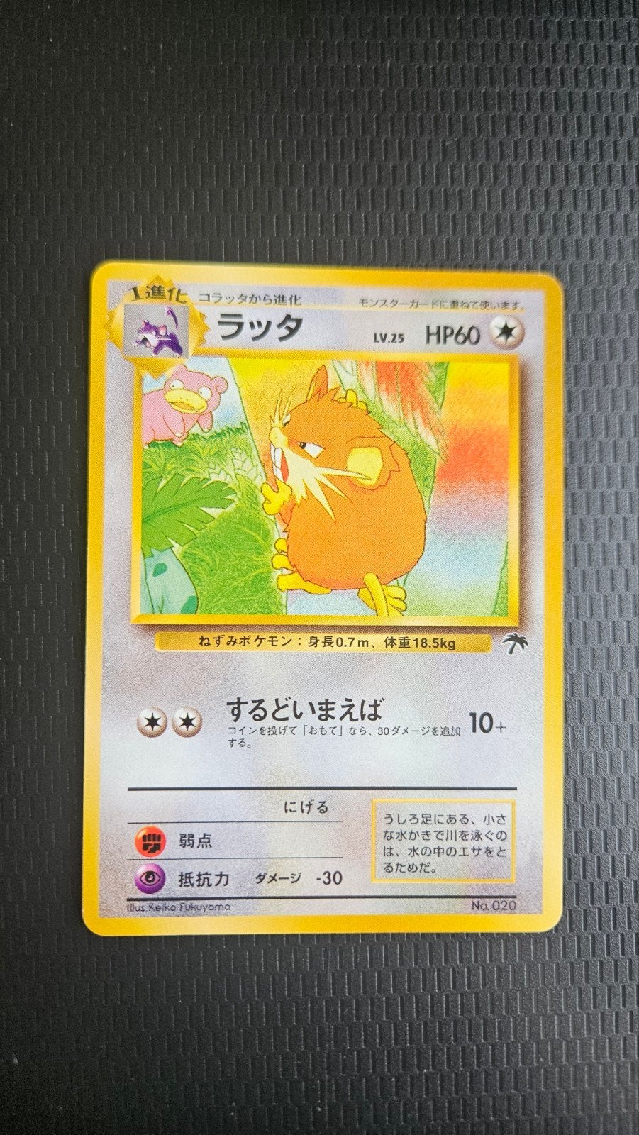 Raticate No.020 Southern Island Promo Japans, Verzenden, Zo goed als nieuw