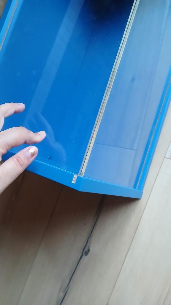 Display kastje blauw met plexiglas, Ophalen of Verzenden, Nieuw