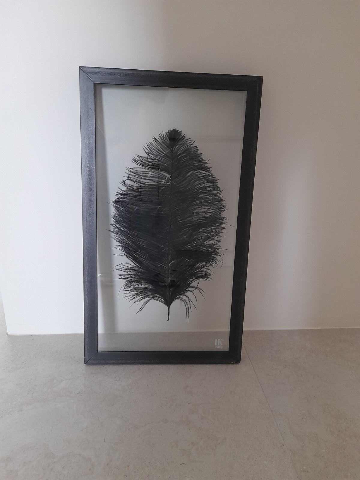 HK Living - Ostrich Feather Frame, Ophalen, 50 – 75, Minder dan 50 cm, Overige typen