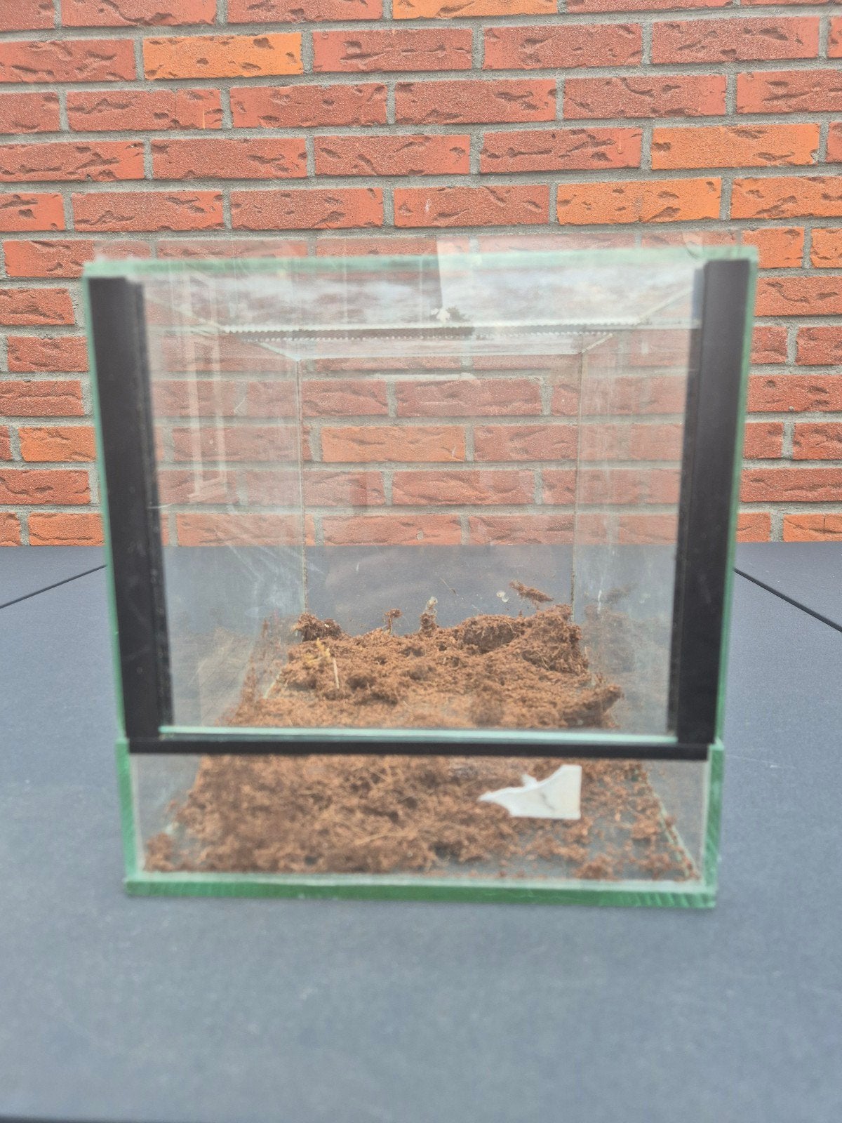 Terrarium 30x20x21, Dieren en Toebehoren, Ophalen