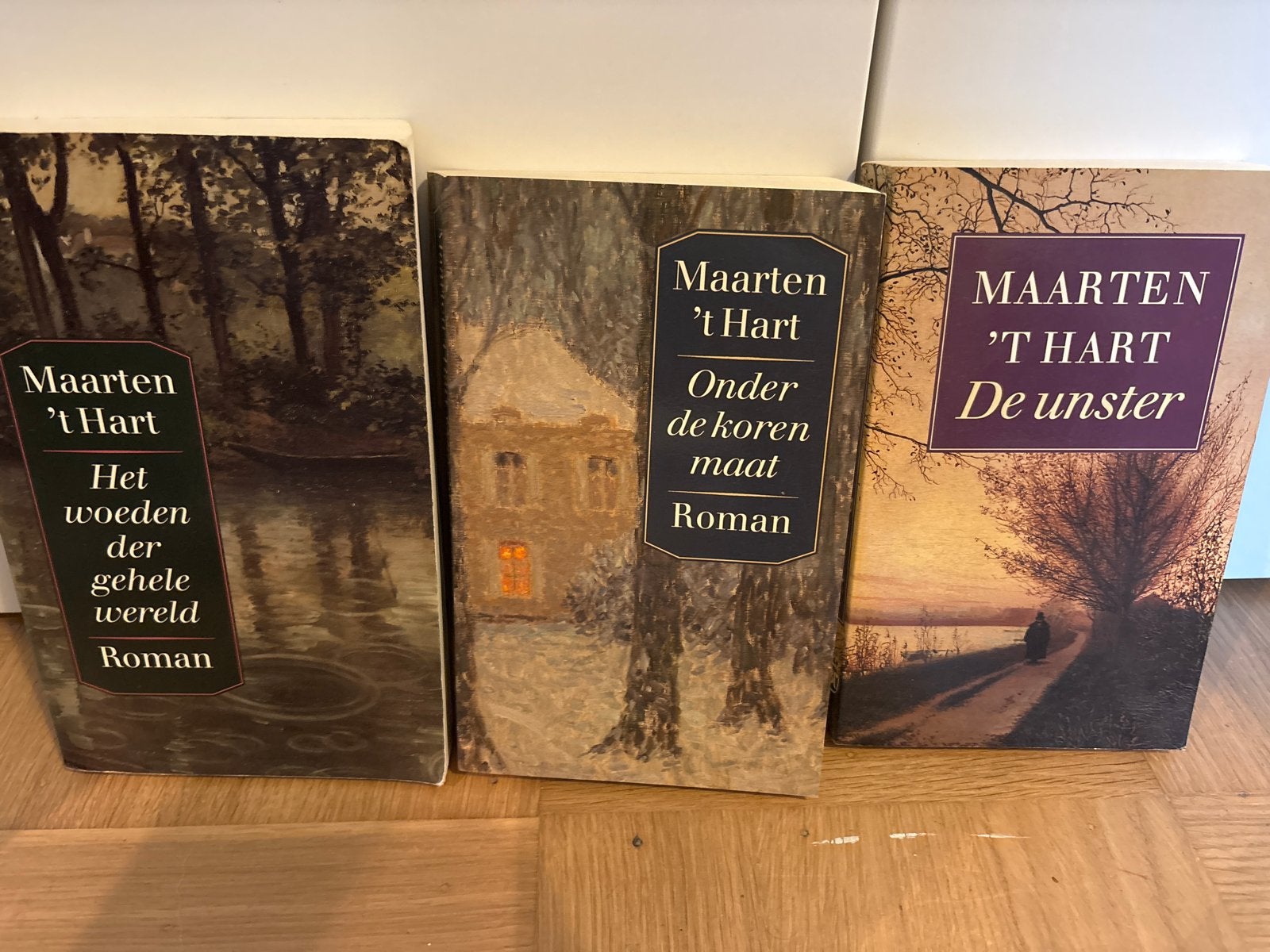 Maarten 't Hart Boeken: Het woeden, Onder de korenmaat, De u, Ophalen of Verzenden, Gelezen, Nederland