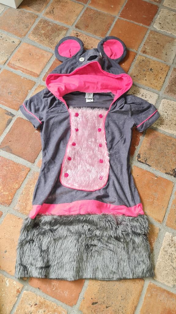 Verkleed kleding, Ophalen of Verzenden, Zo goed als nieuw, Maat 34 (XS) of kleiner, Carnaval