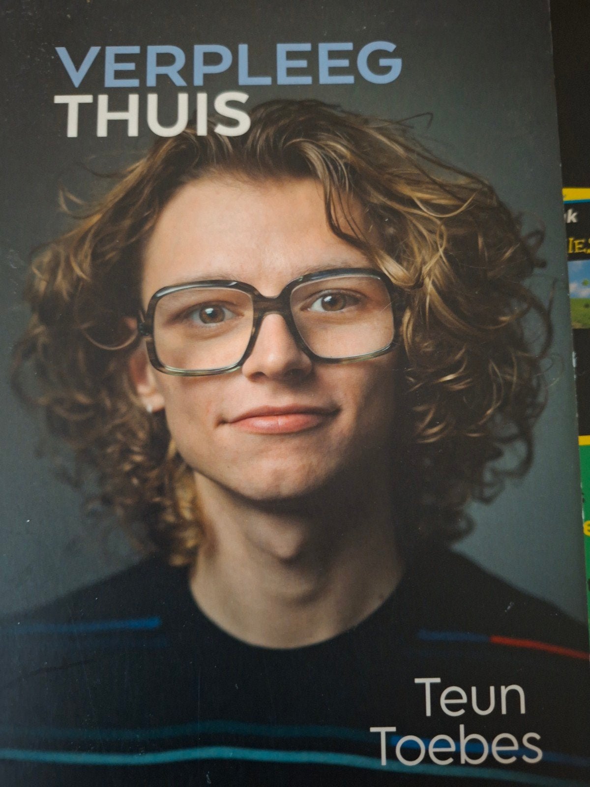 VerpleegThuis - Teun Toebes (Boek over dementiezorg), Boeken, Ophalen of Verzenden, Zo goed als nieuw, Teun Toebes, Overige