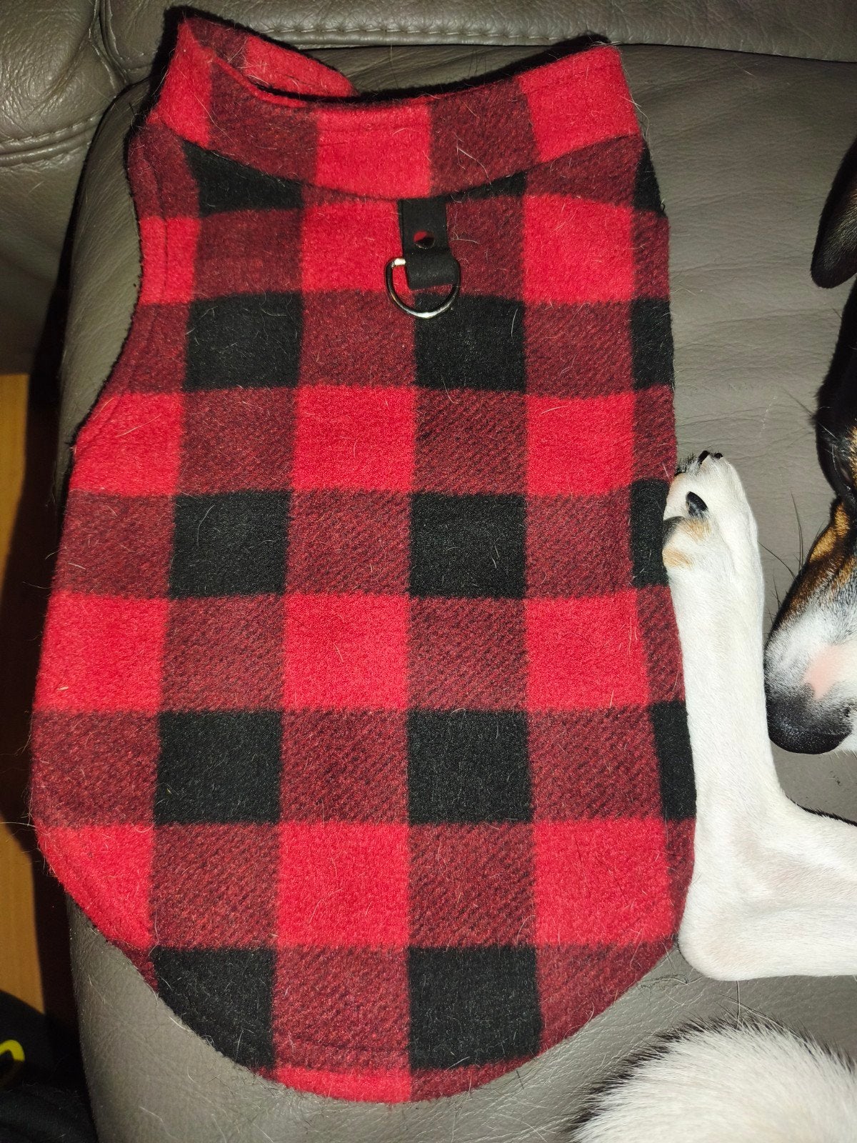 honden trui, Dieren en Toebehoren, Ophalen of Verzenden, Hondentrui