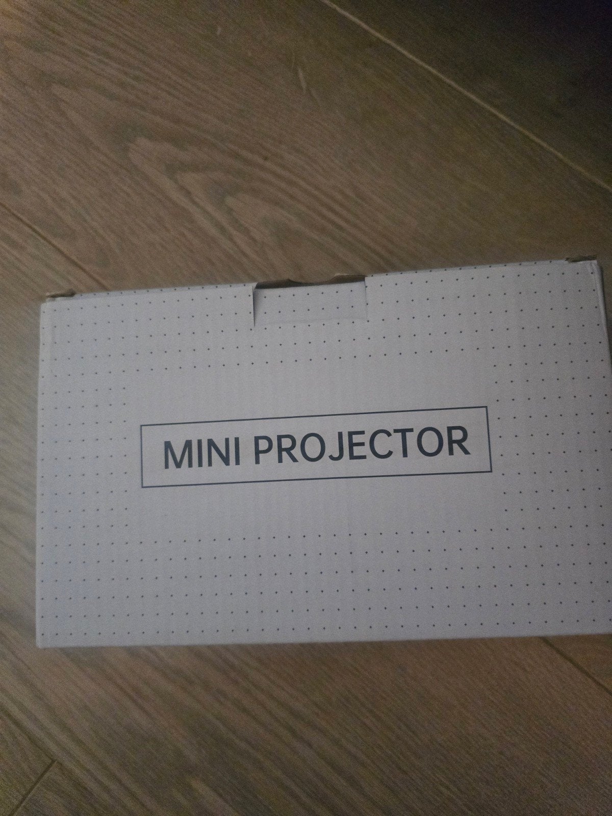 Mini Projector voor Thuisbioscoop of Gaming, HD (720), Onbekend, LED, Ophalen of Verzenden
