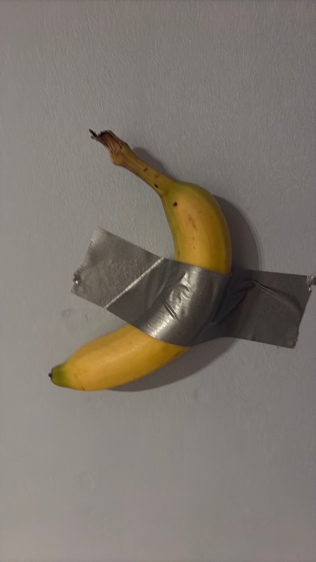 Gekke banana kunstwrrk, Ophalen of Verzenden