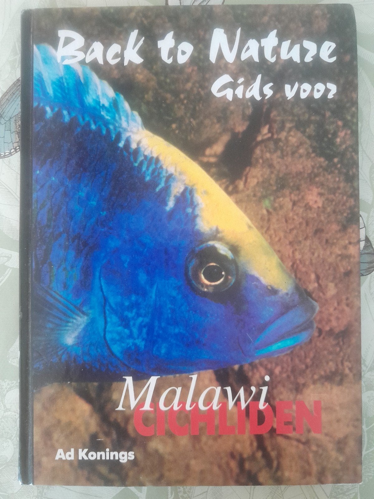 Back to nature Malawi Cichiliden (Ad Konings), Boeken, Ophalen of Verzenden, Zo goed als nieuw, Honden