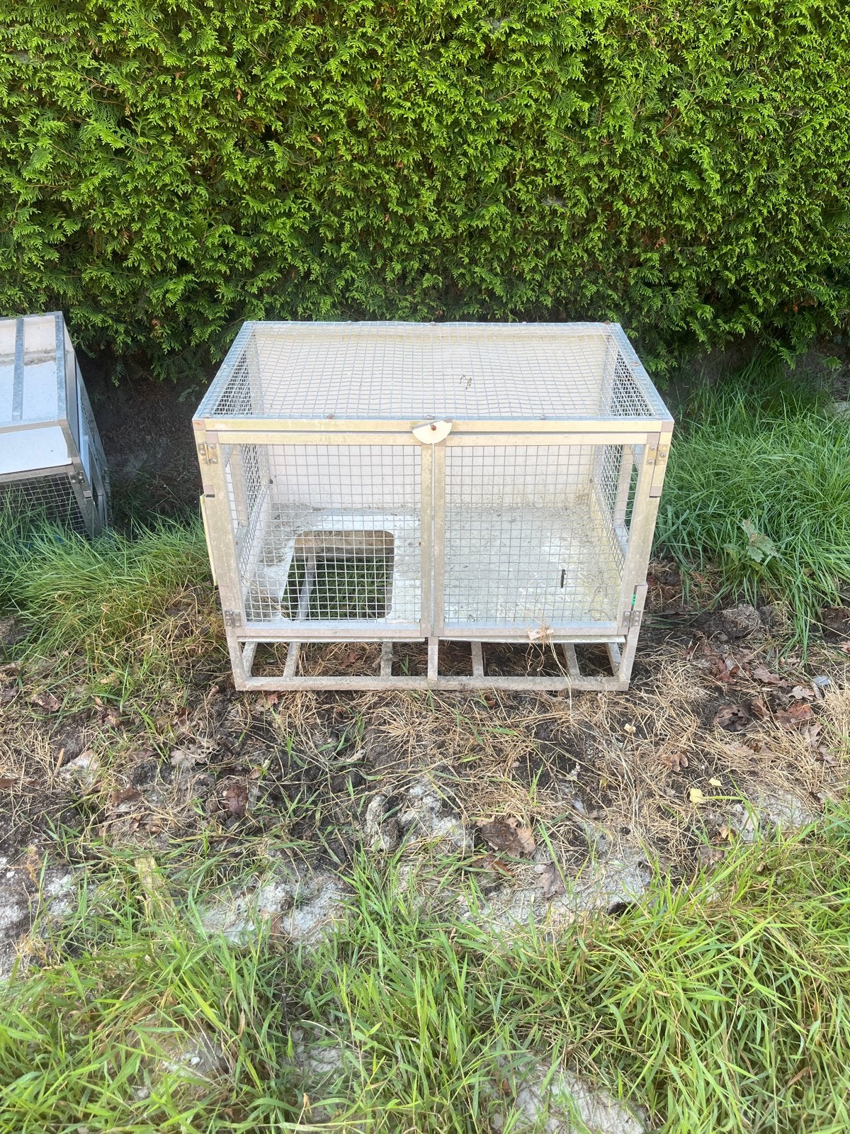 Kooien voor fretten, konijnen en andere knaagdieren, Ophalen