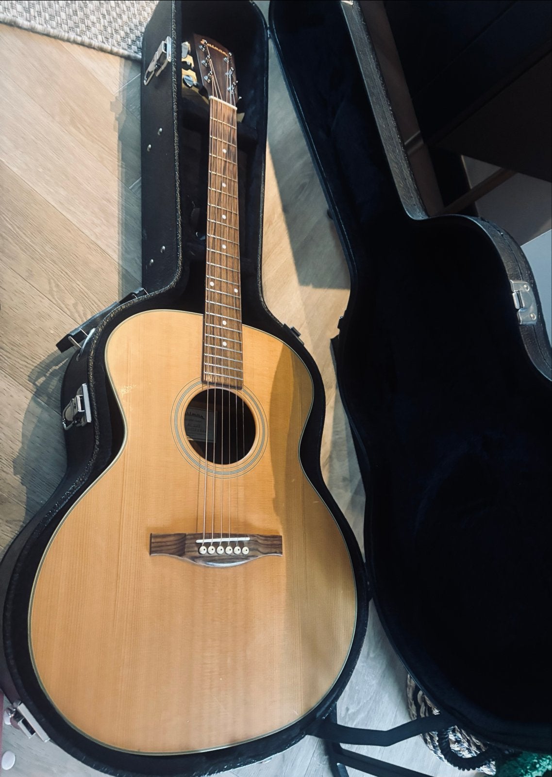 Eastman AC222 Westerngitaar met koffer, Ophalen, Zo goed als nieuw, Western- of Steelstringgitaar, Met koffer