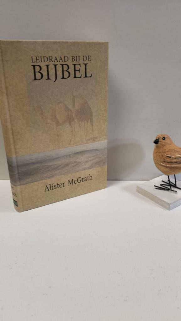 McGrath, Alister; Leidraad bij de Bijbel, Ophalen of Verzenden, Gelezen, Christendom | Protestants