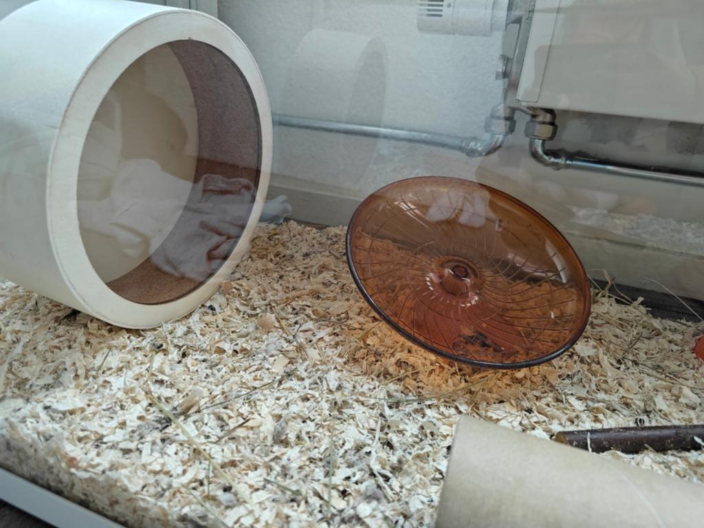 Hamster accessoires, Ophalen, Zo goed als nieuw