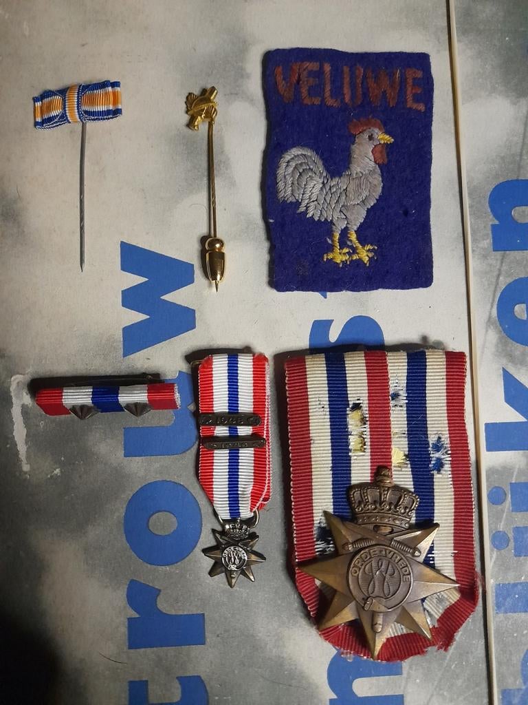 Medaille en embleem Ned Indie Veluwe, Ophalen of Verzenden, Landmacht, Nederland, Lintje, Medaille of Wings