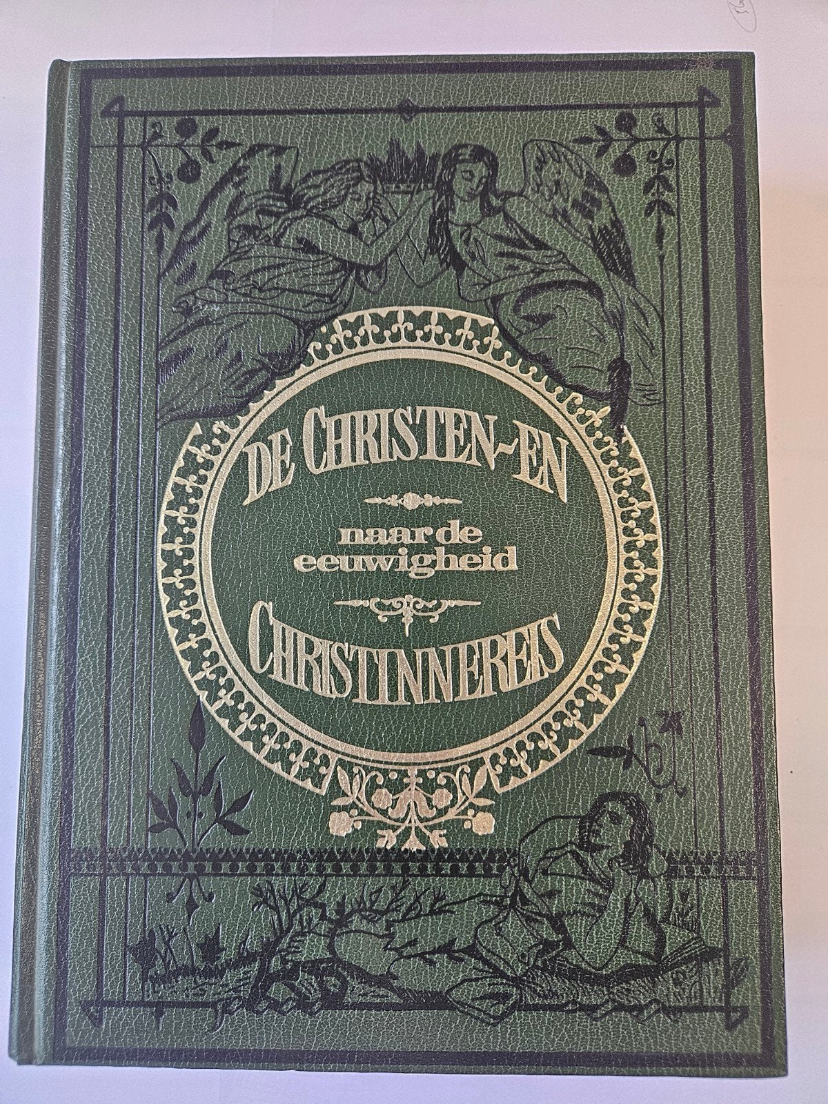 De Christen - en Christinnereis -naar de eeuwigheid, Boeken, Ophalen of Verzenden, Zo goed als nieuw, Christendom | Protestants