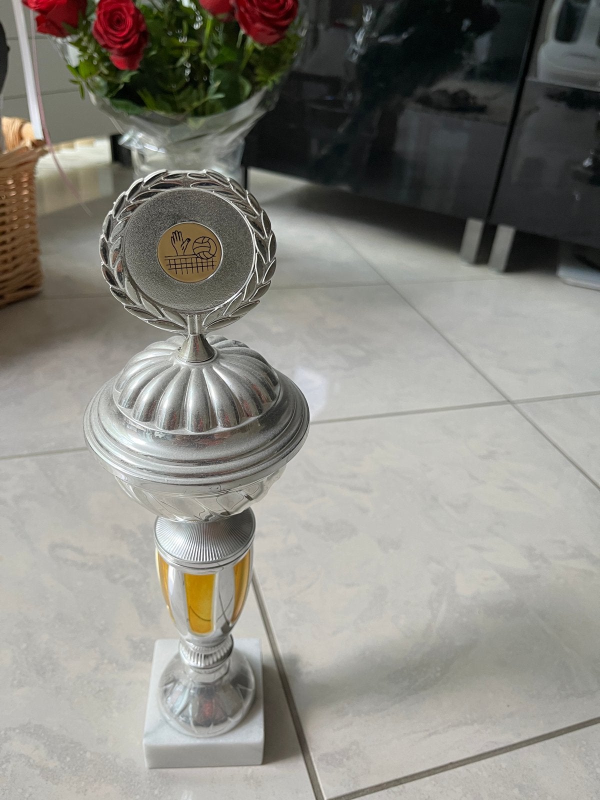 Zilverkleurige en goudkleurige volleybaltrofee, Sport en Fitness, Ophalen of Verzenden, Zo goed als nieuw