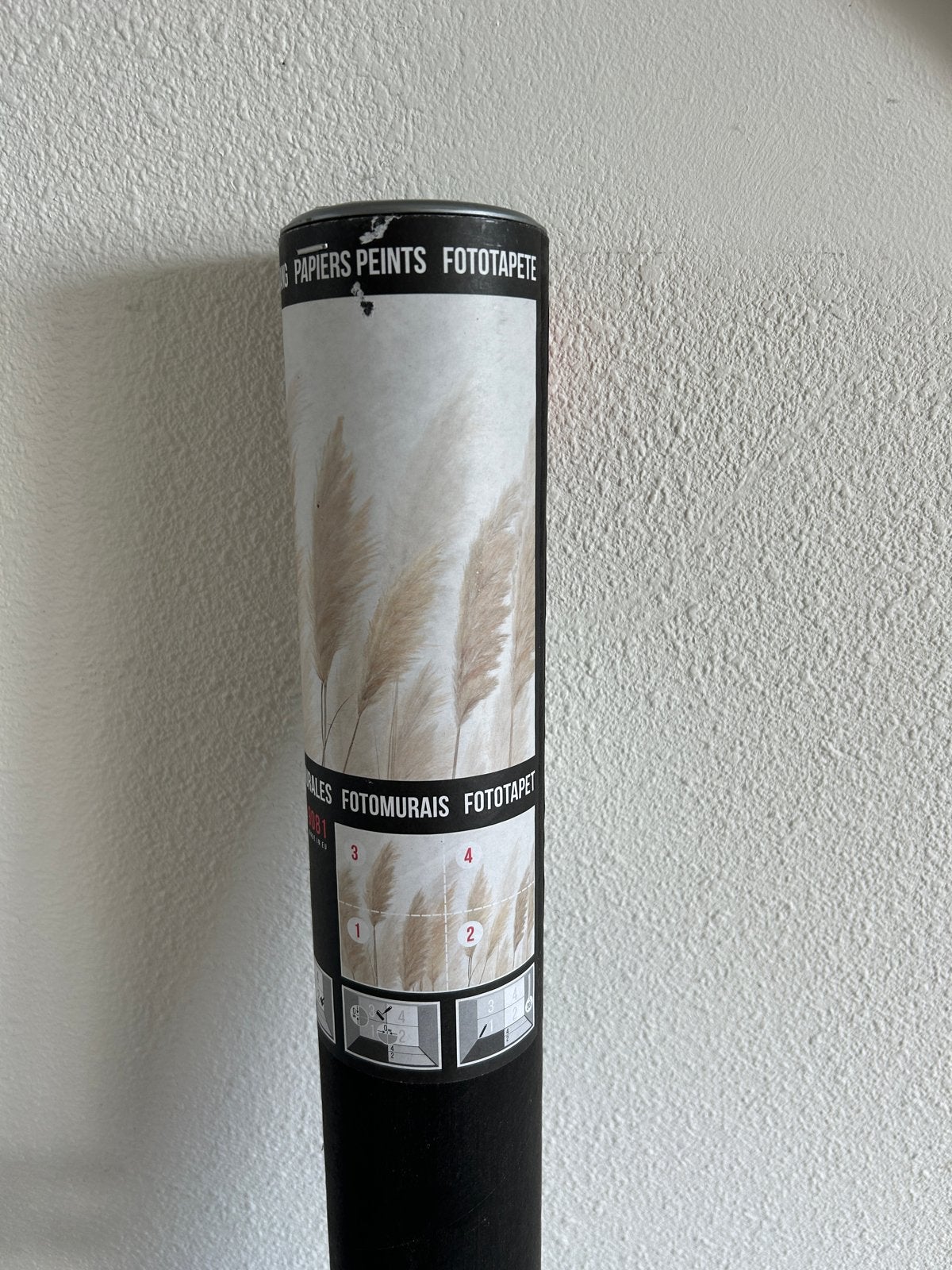 Fotobehang - Pampasgras - Nieuw in ongeopende koker, Beige, Ophalen of Verzenden, Fotobehang, 5 tot 10 m²