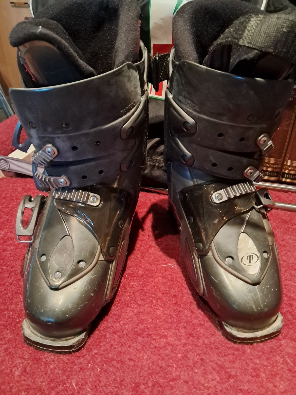 Tecnica Senses 5 skischoenen, 160 tot 180 cm, Gebruikt, Schoenen, Skiën