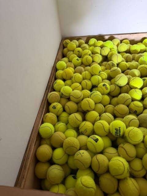 tennisballen gebruikt, Ophalen of Verzenden, Gebruikt, Apporteerspeelgoed, Overige merken