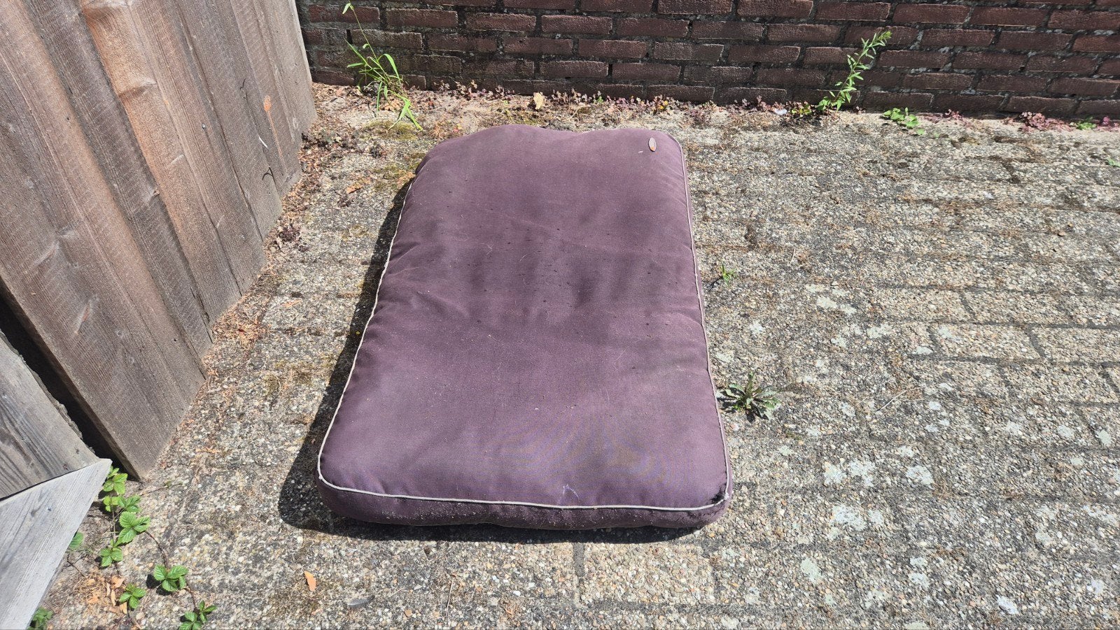 hondenkussen gratis afhalen, Ophalen, Gebruikt, Stof