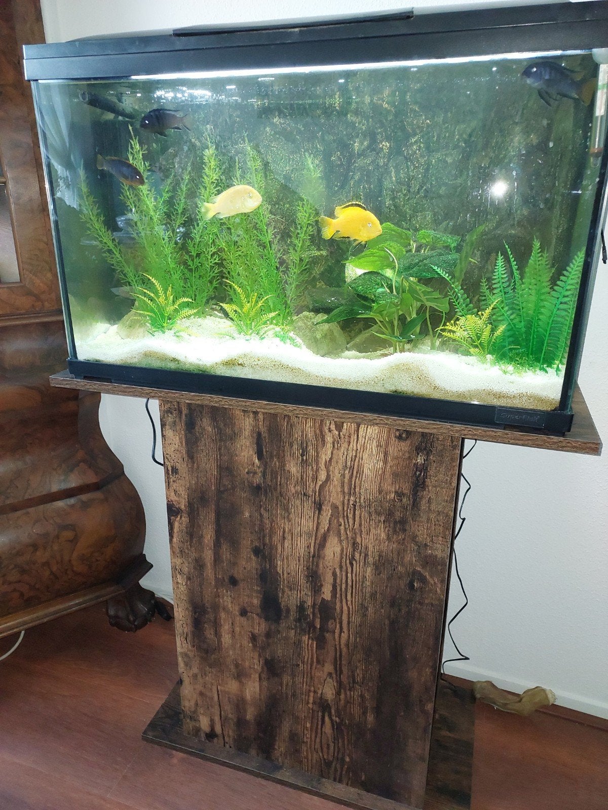 aquarium incl onderstel, Ophalen, Zo goed als nieuw, Gevuld zoetwateraquarium, Superfish