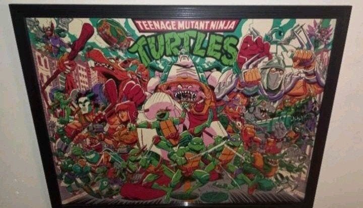 Ninja turtles, Ophalen of Verzenden, Zo goed als nieuw, A1 t/m A3, Film en Tv