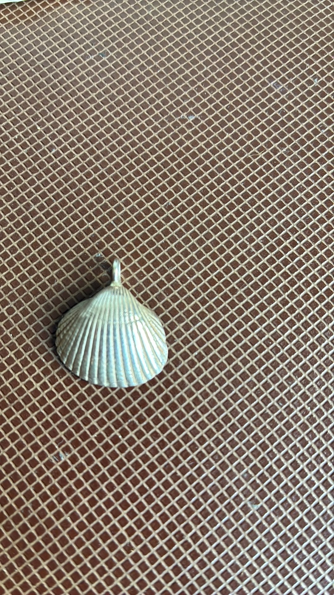 Zilver hanger schelp, Gebruikt, Overige voorstellingen, Ophalen of Verzenden, Zilver