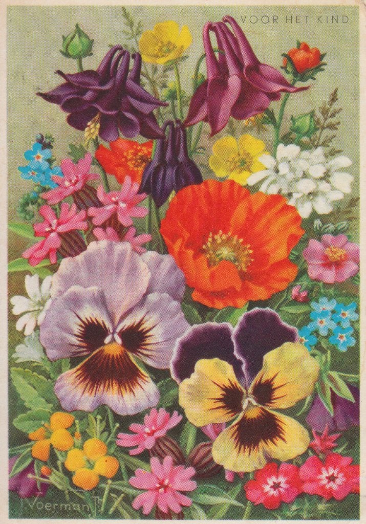 G168 ansichtkaart voor het kind 1962 boeket bloemen voerman, Ophalen of Verzenden, 1960 tot 1980, Gelopen, Kinderen