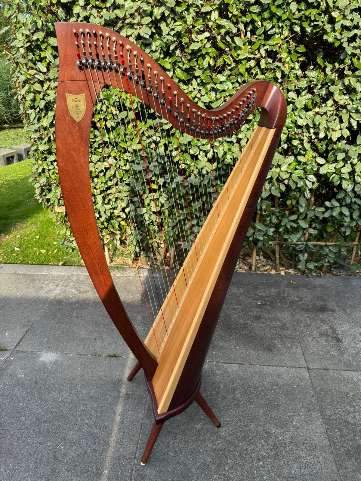 Lyon & Healy Ogden Lever harp 34 str., Ophalen, Zo goed als nieuw