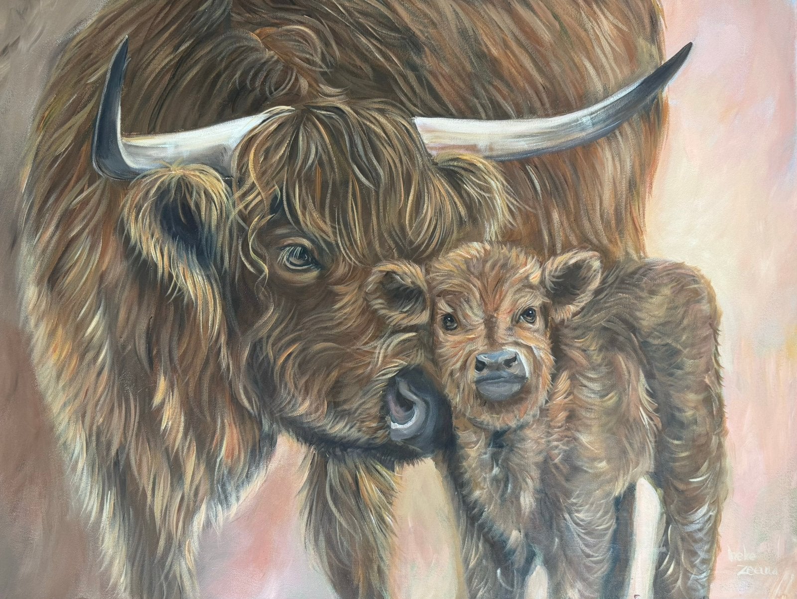 Schilderij schotse hooglander met kalf uit eigen atelier, Ophalen of Verzenden