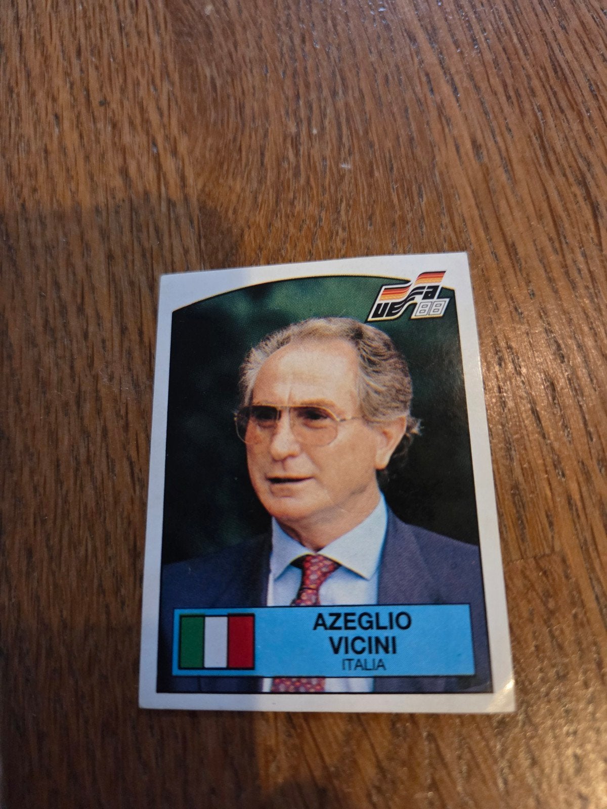 Panini EK 88, Ophalen of Verzenden, Zo goed als nieuw, Sticker