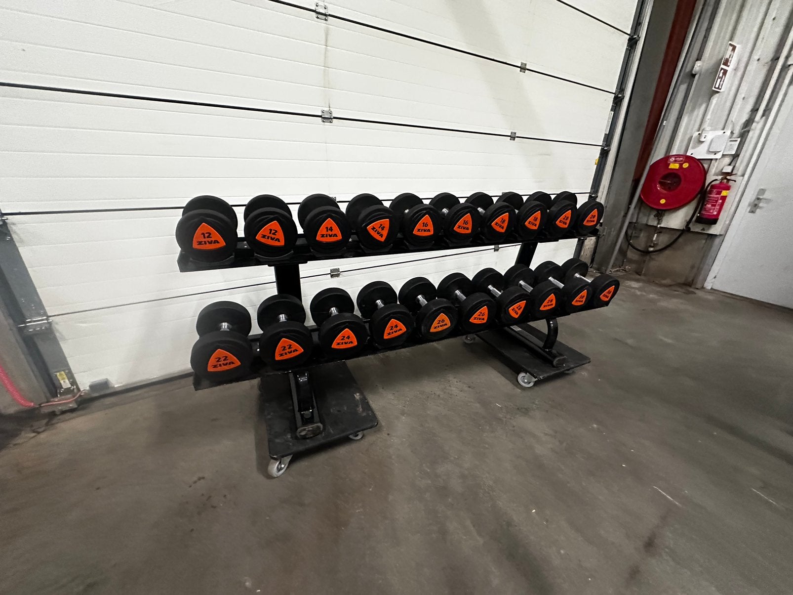 Ziva Rubberen Pu Dumbells 12kg t/m 30kg + life Fitness Rek, Sport en Fitness, Ophalen, Zo goed als nieuw, Dumbbell