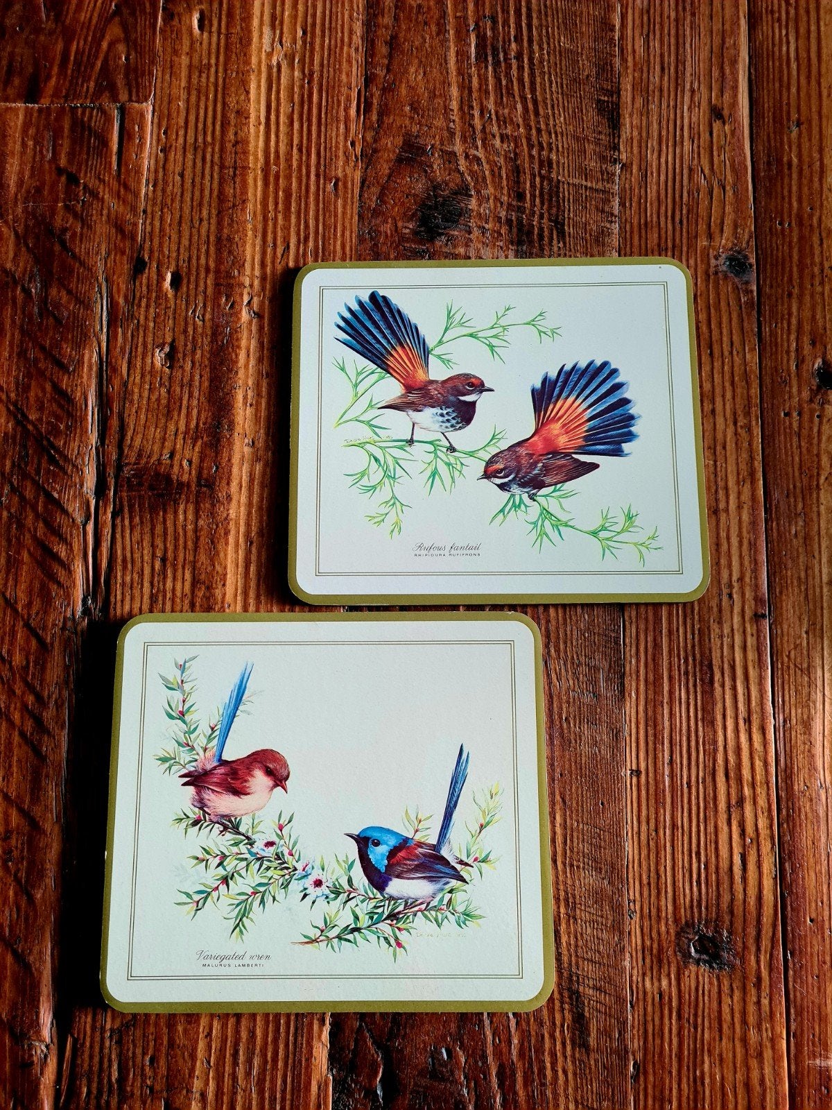 2 vintage vogel afbeelding wandplaten, Gebruikt, Meerkleurig, Ophalen of Verzenden, Vintage