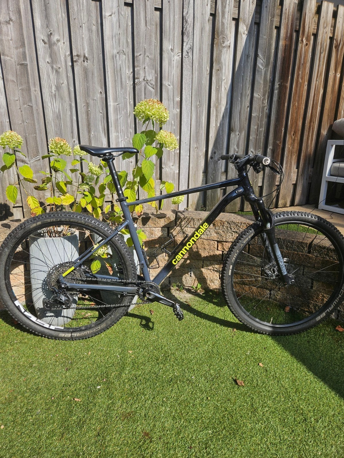 Cannondale Trail SL 2 Mountainbike 29inch (frame XL), Gebruikt, 57 cm of meer, Hardtail, Schijfrem