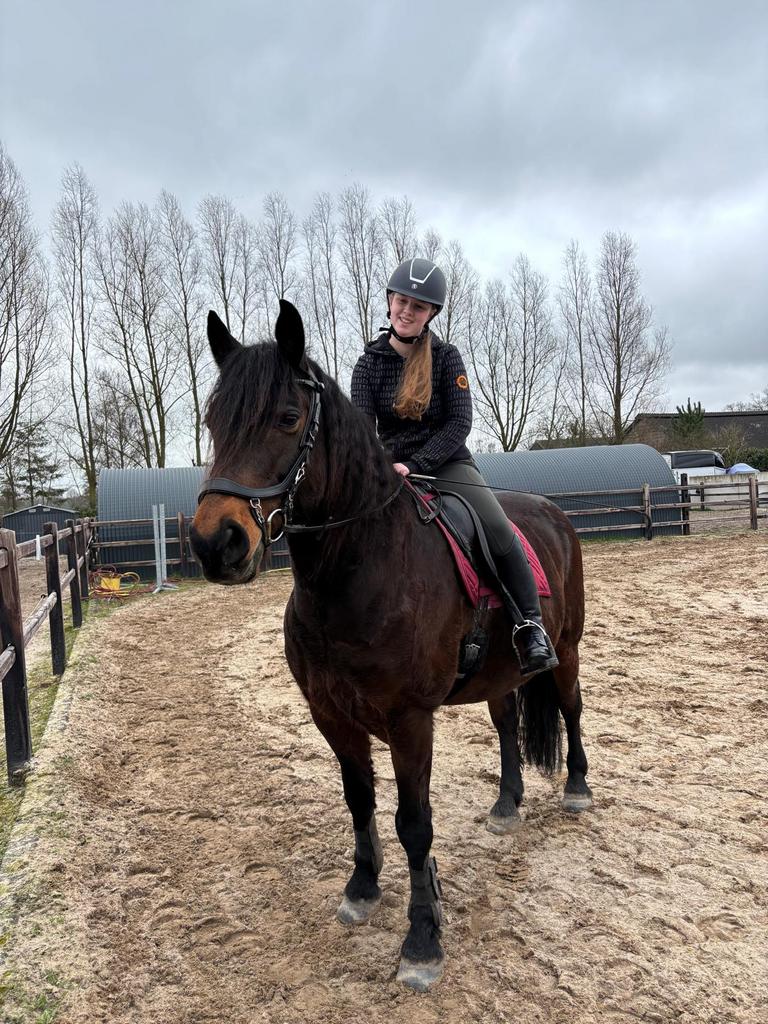 Bijrijdpaard gezocht omgeving ‘t Harde, Ophalen